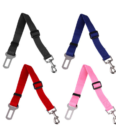 Cinturón coche para mascotas