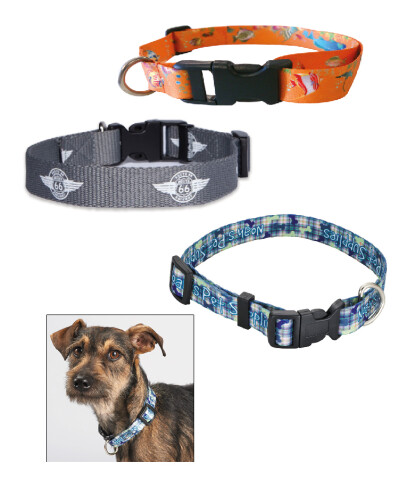 Collares para mascotas